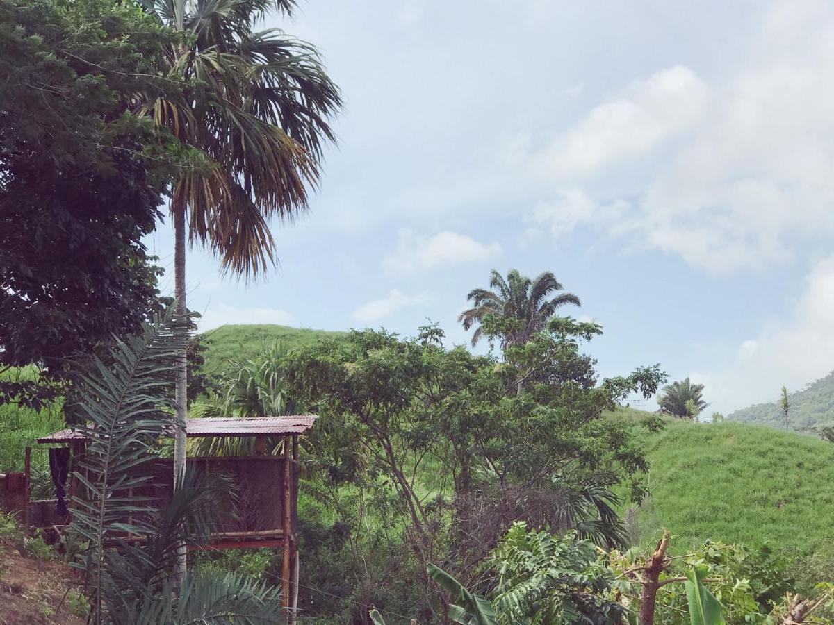 The Valley Tayrona Hostel- A Social Jungle Hostel El Zaino Exterior foto