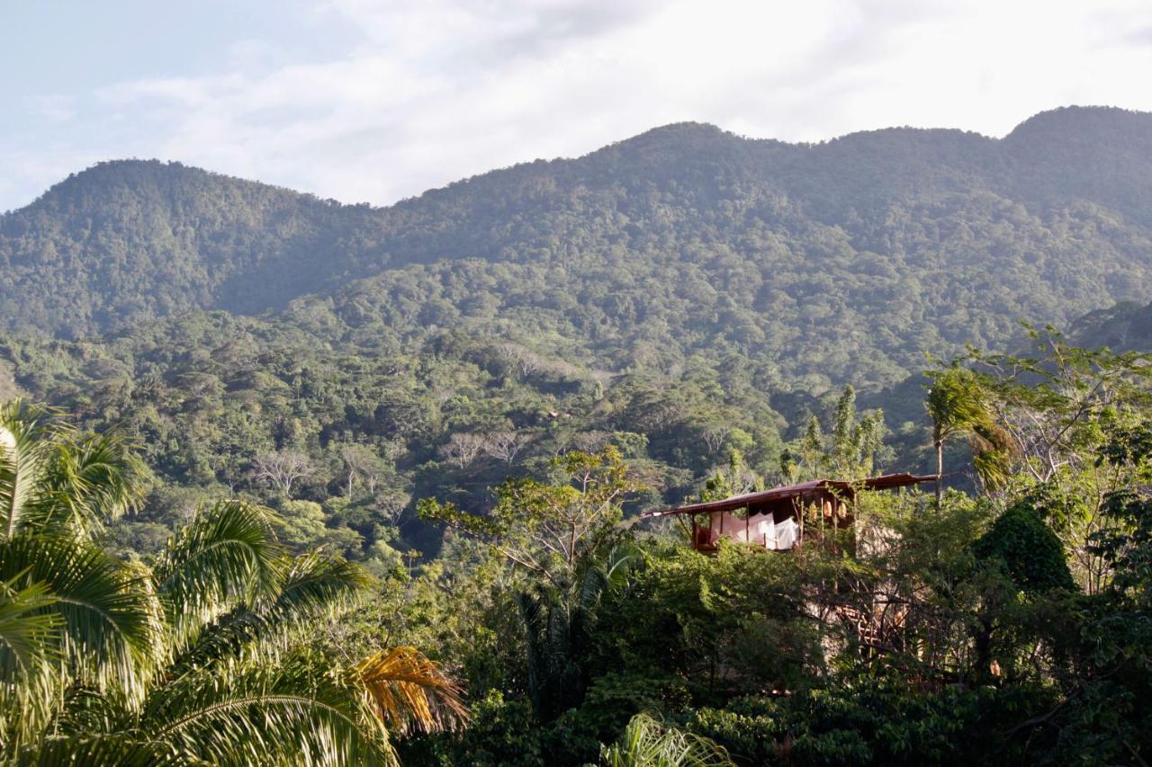 The Valley Tayrona Hostel- A Social Jungle Hostel El Zaino Exterior foto