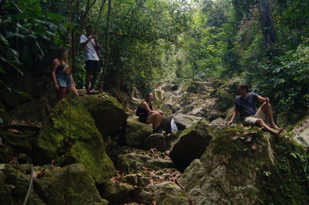 The Valley Tayrona Hostel- A Social Jungle Hostel El Zaino Exterior foto