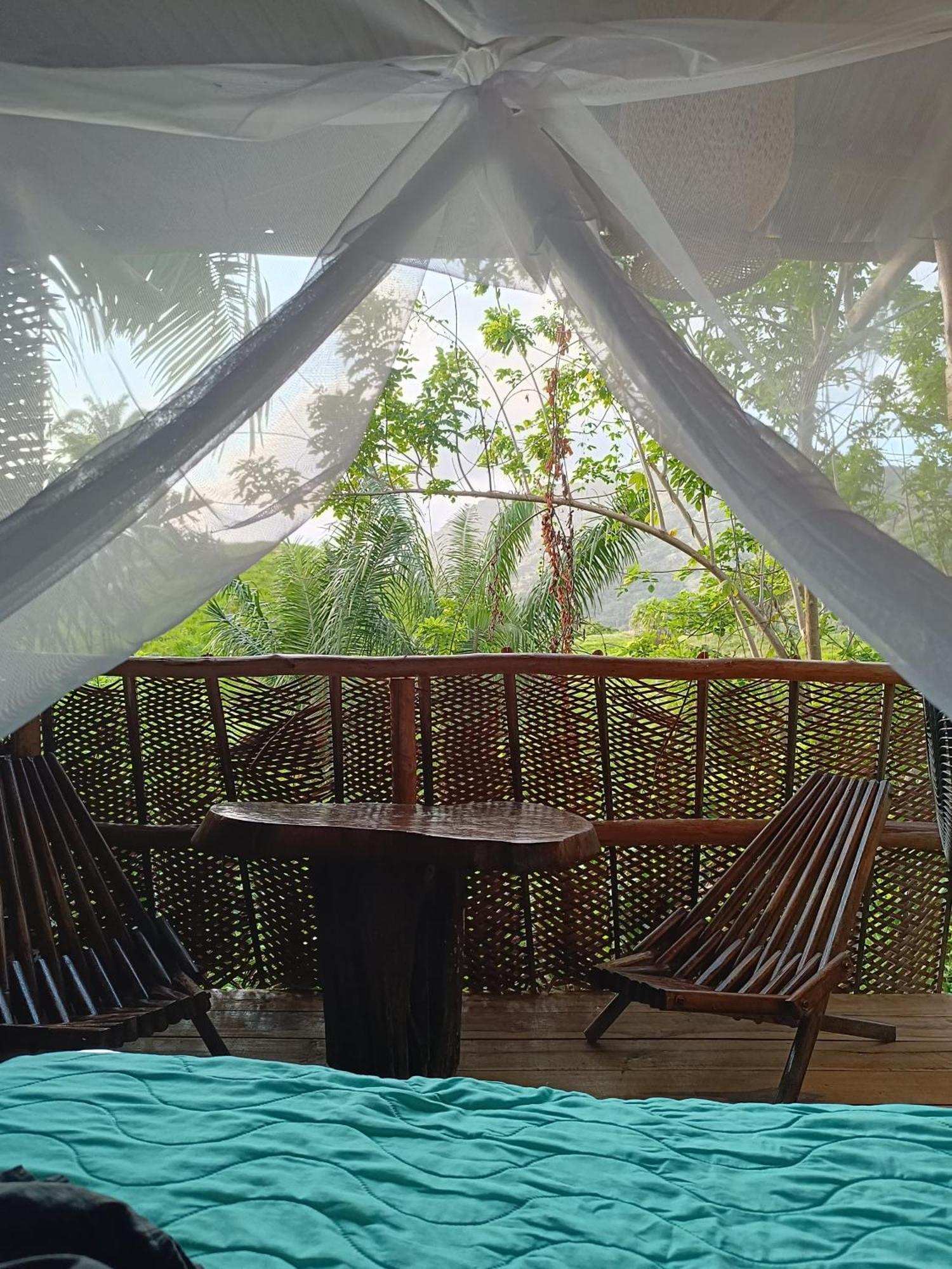 The Valley Tayrona Hostel- A Social Jungle Hostel El Zaino Exterior foto