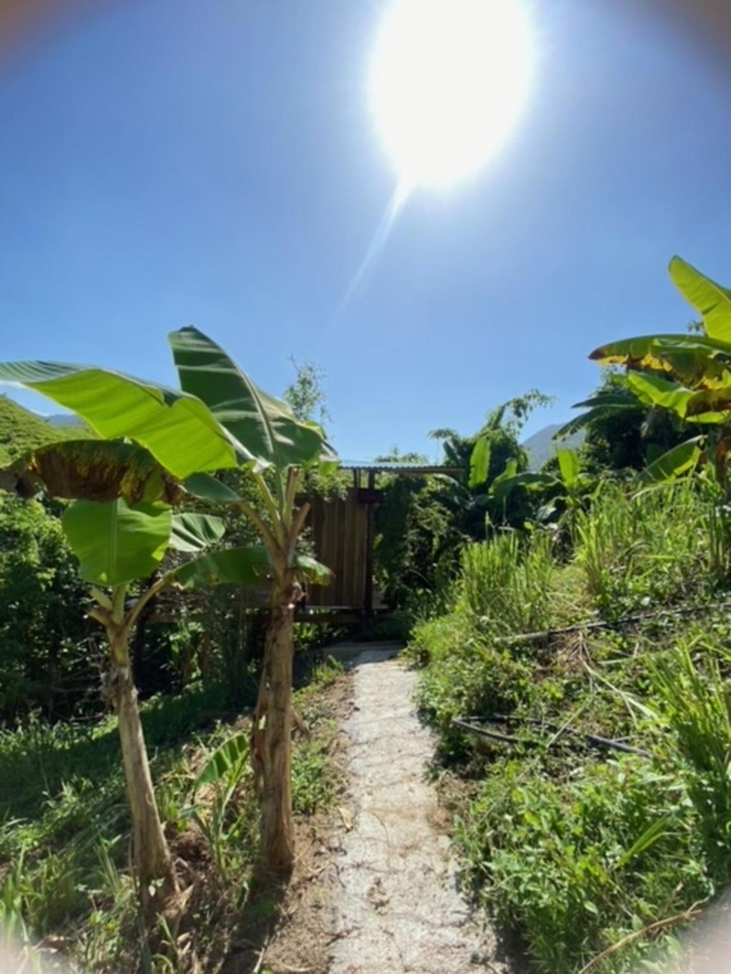 The Valley Tayrona Hostel- A Social Jungle Hostel El Zaino Exterior foto