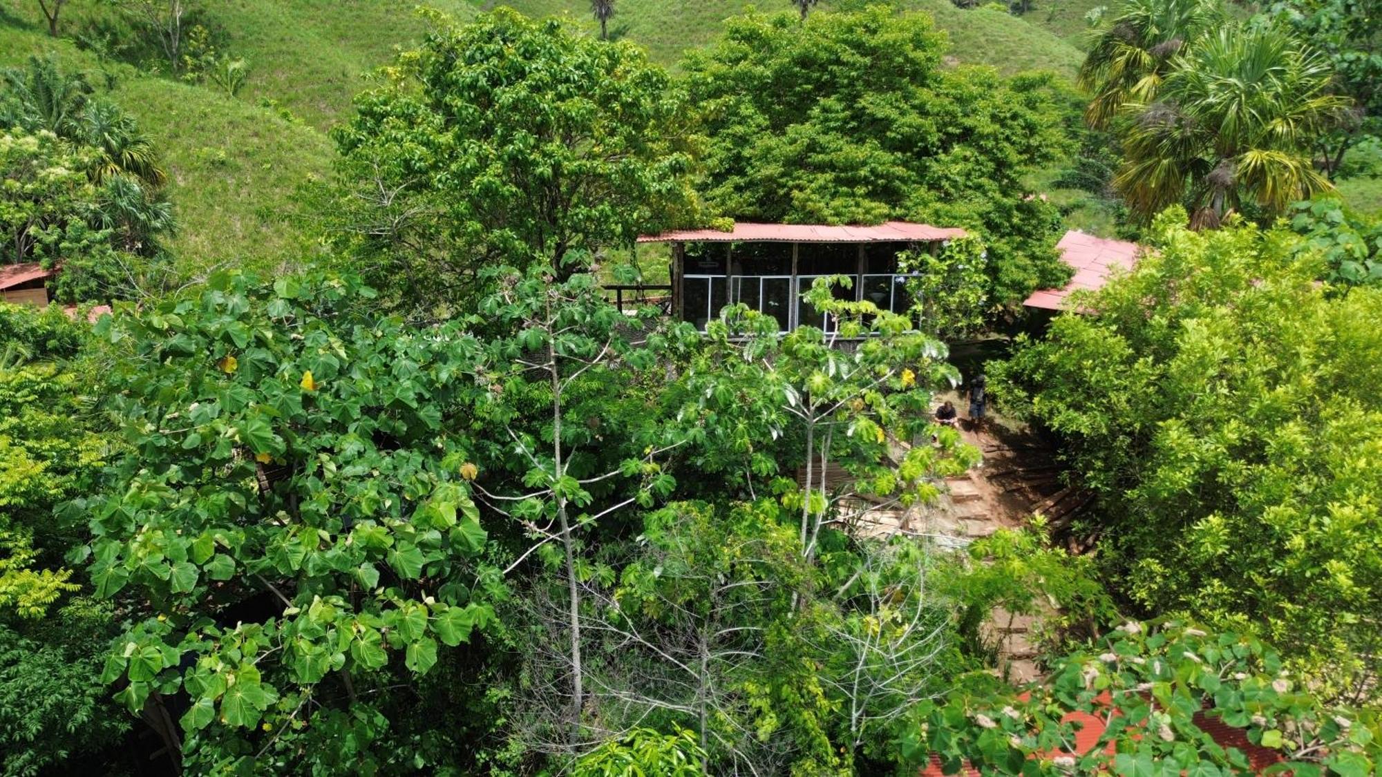 The Valley Tayrona Hostel- A Social Jungle Hostel El Zaino Exterior foto