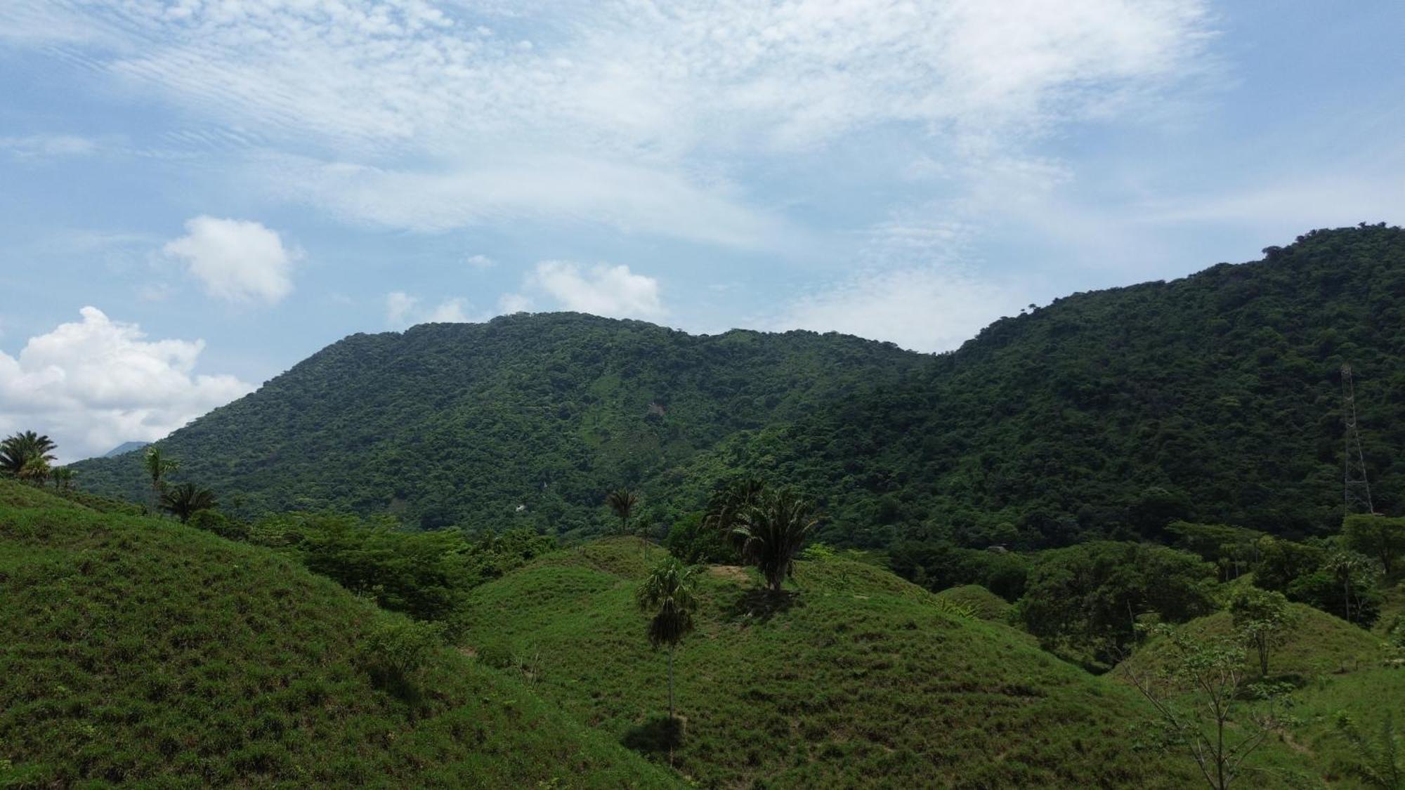 The Valley Tayrona Hostel- A Social Jungle Hostel El Zaino Exterior foto