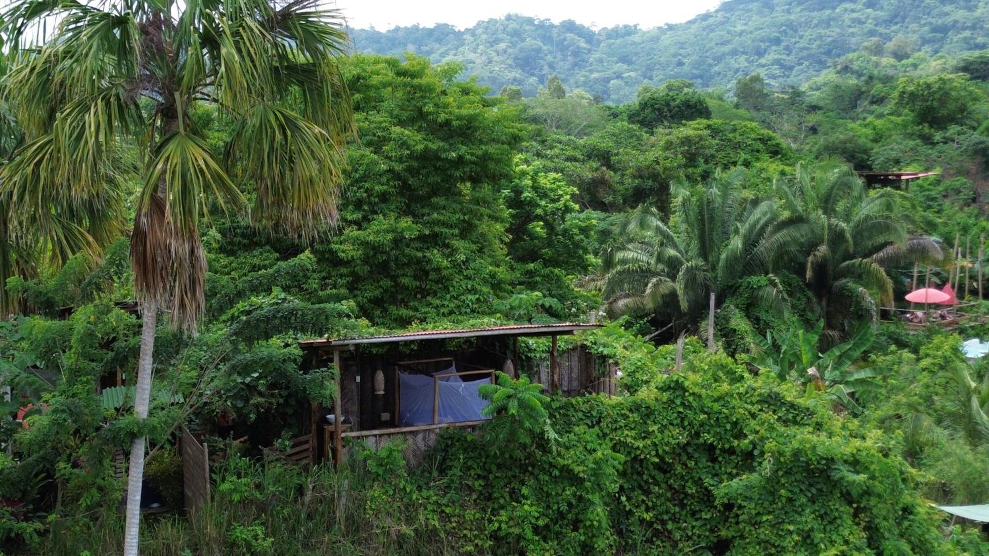 The Valley Tayrona Hostel- A Social Jungle Hostel El Zaino Exterior foto