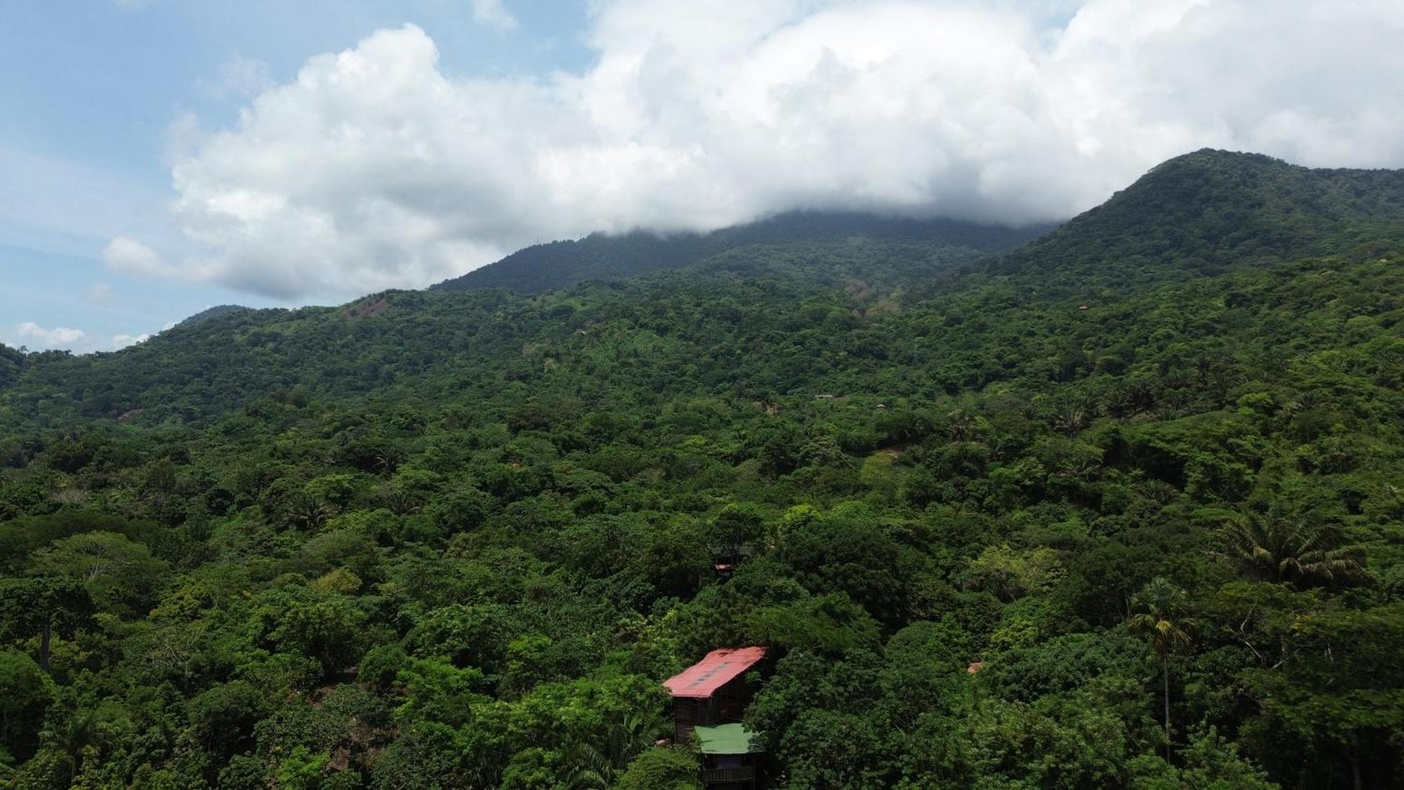 The Valley Tayrona Hostel- A Social Jungle Hostel El Zaino Exterior foto