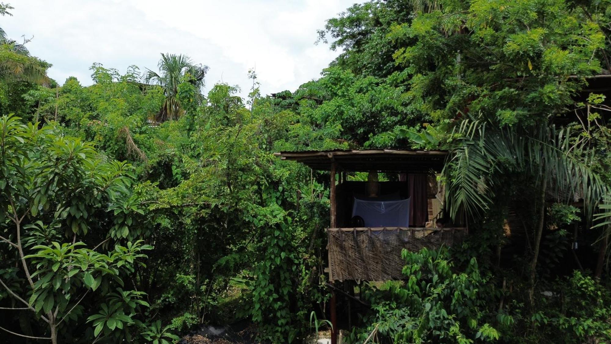 The Valley Tayrona Hostel- A Social Jungle Hostel El Zaino Exterior foto