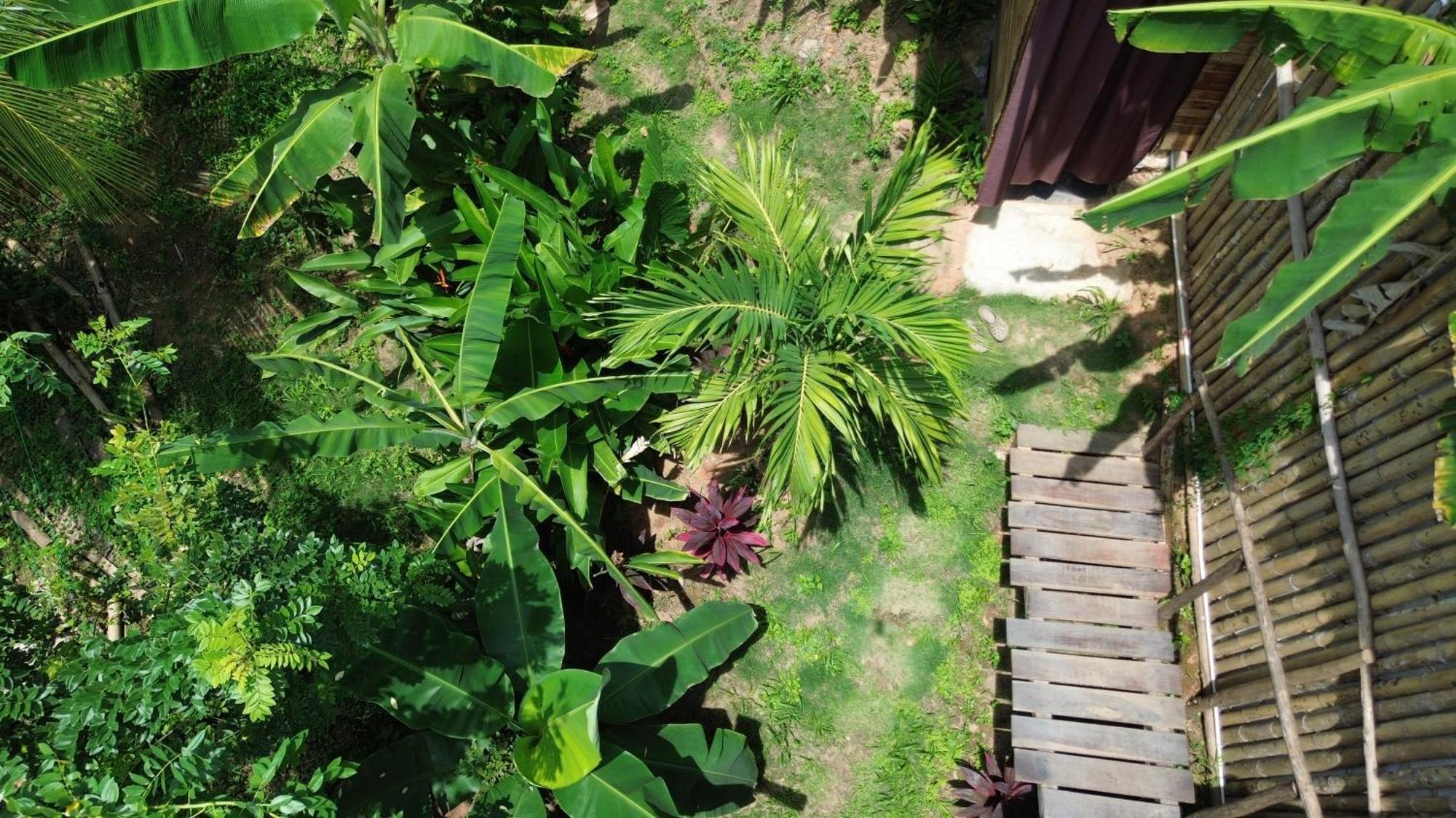 The Valley Tayrona Hostel- A Social Jungle Hostel El Zaino Exterior foto