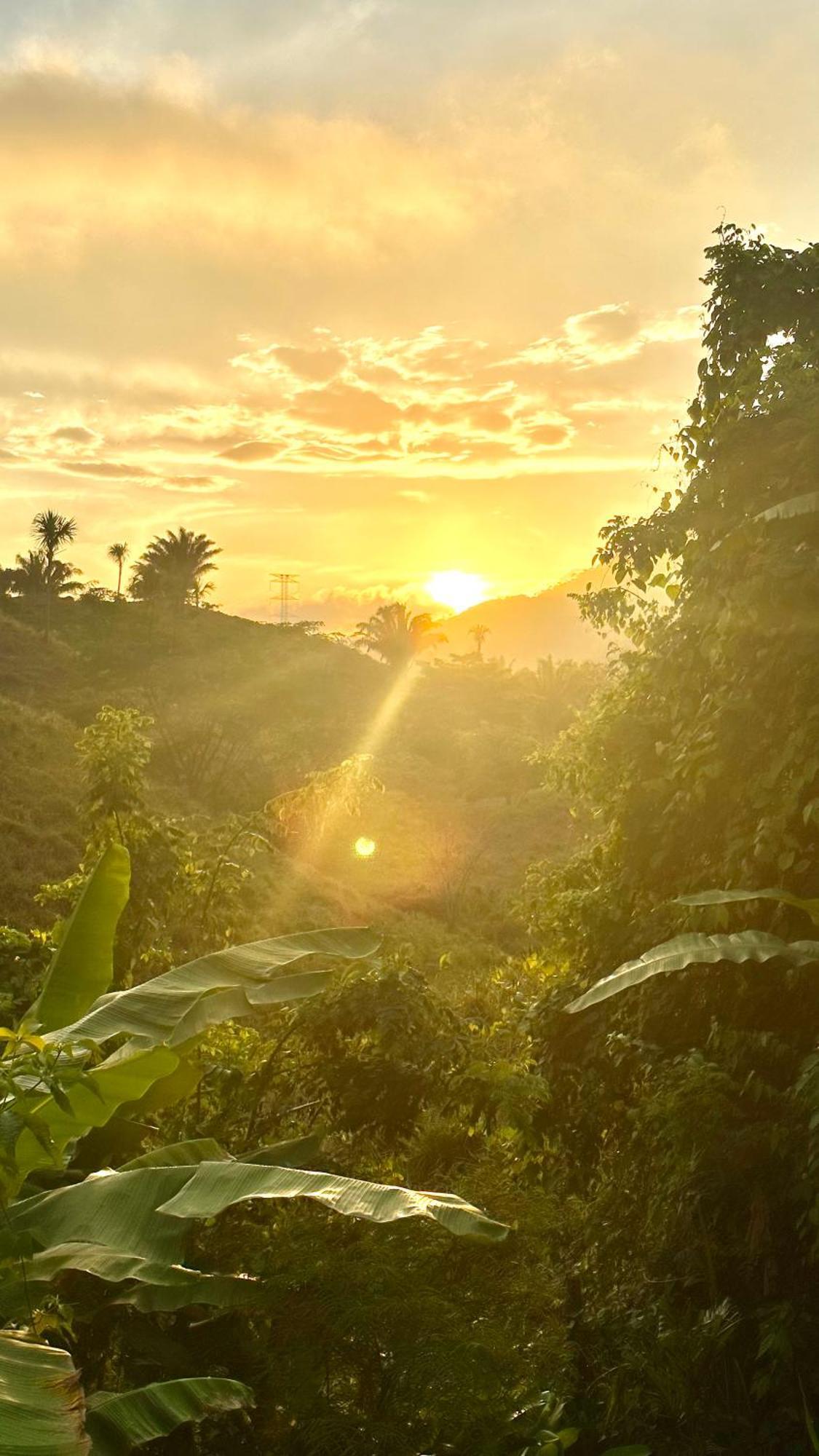 The Valley Tayrona Hostel- A Social Jungle Hostel El Zaino Exterior foto