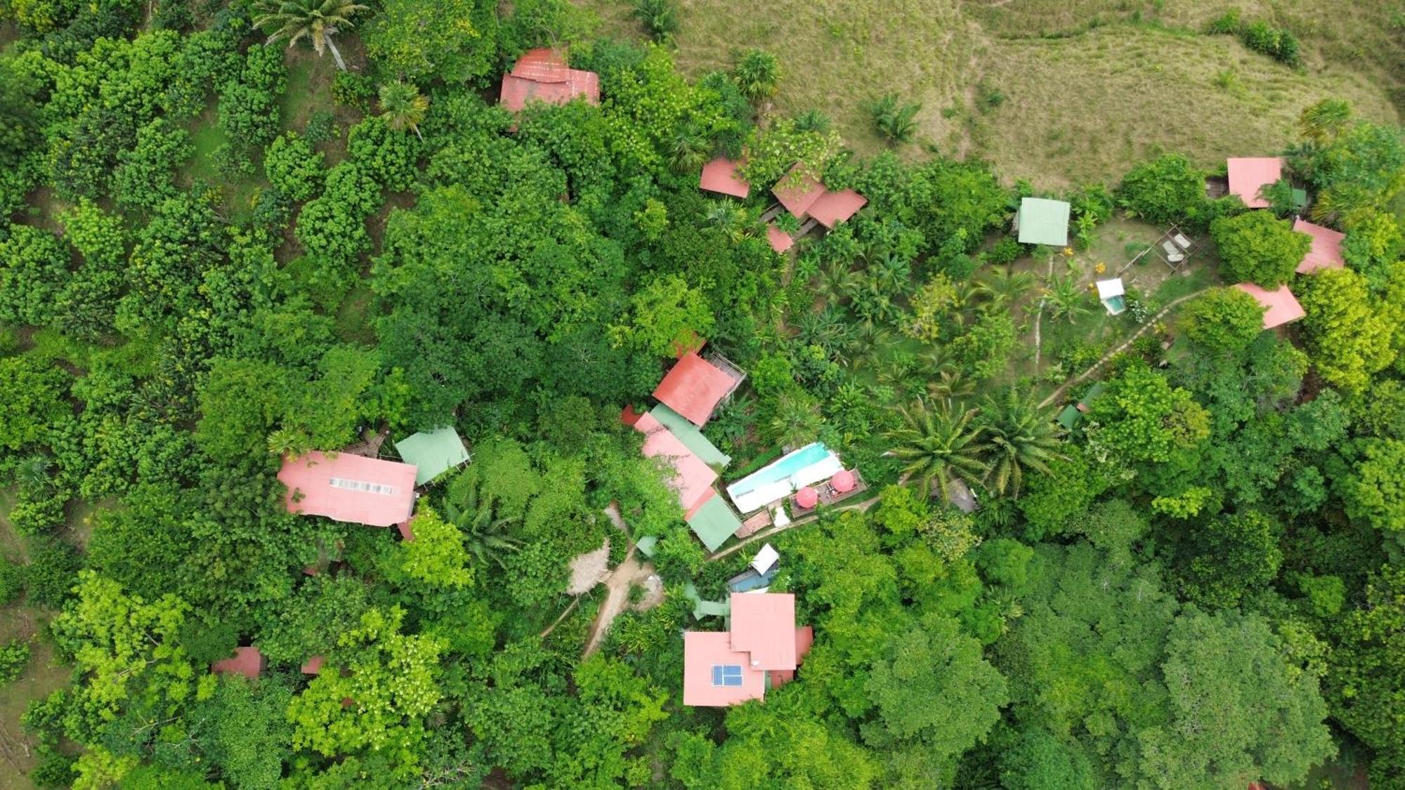 The Valley Tayrona Hostel- A Social Jungle Hostel El Zaino Exterior foto
