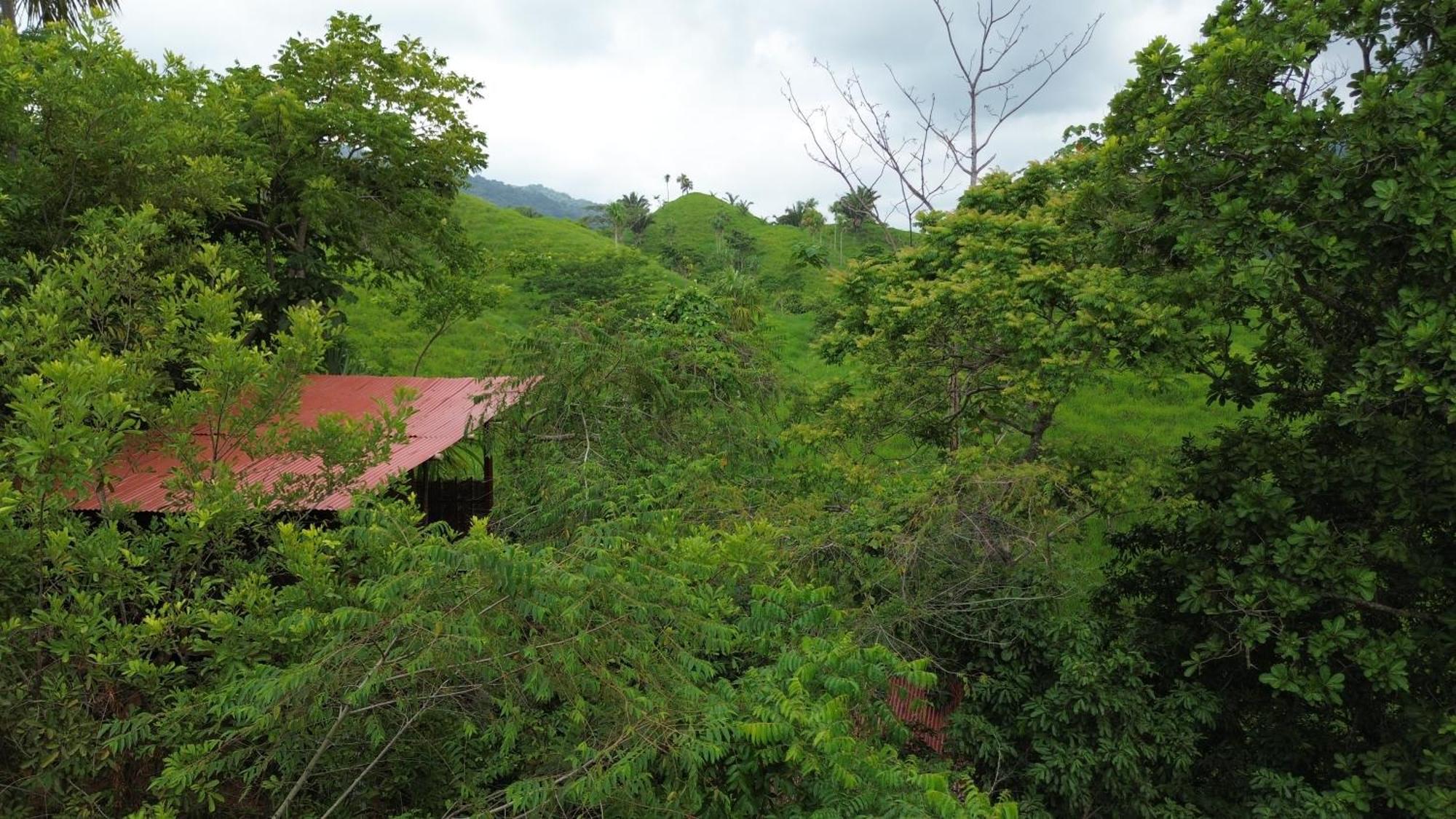 The Valley Tayrona Hostel- A Social Jungle Hostel El Zaino Exterior foto