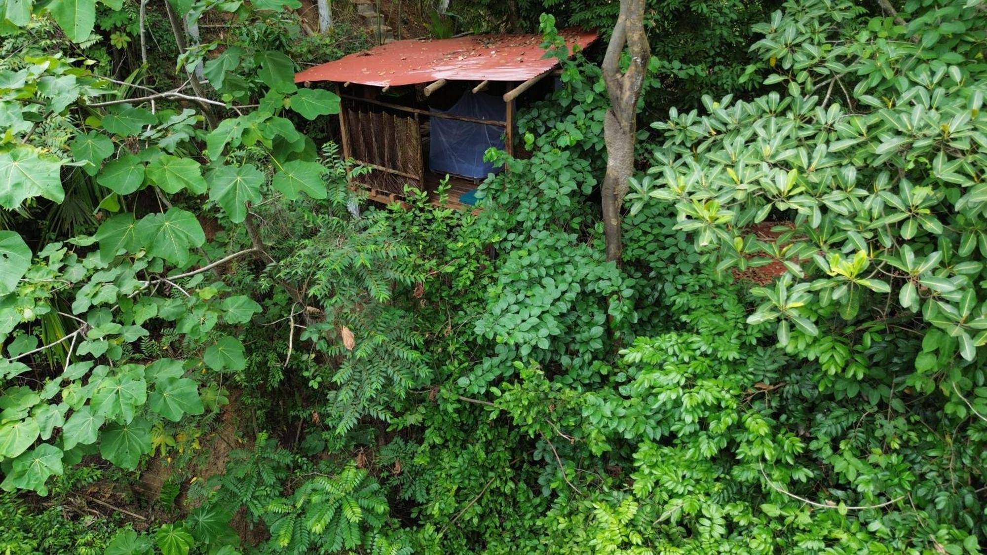The Valley Tayrona Hostel- A Social Jungle Hostel El Zaino Exterior foto
