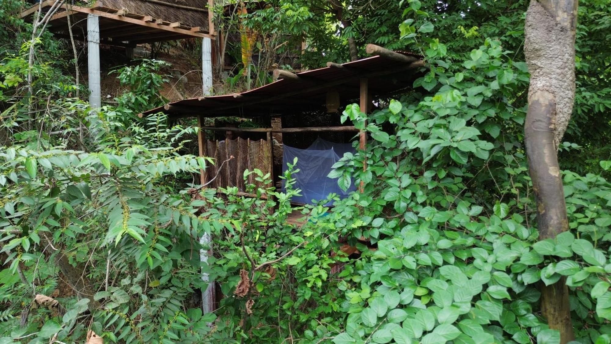 The Valley Tayrona Hostel- A Social Jungle Hostel El Zaino Exterior foto