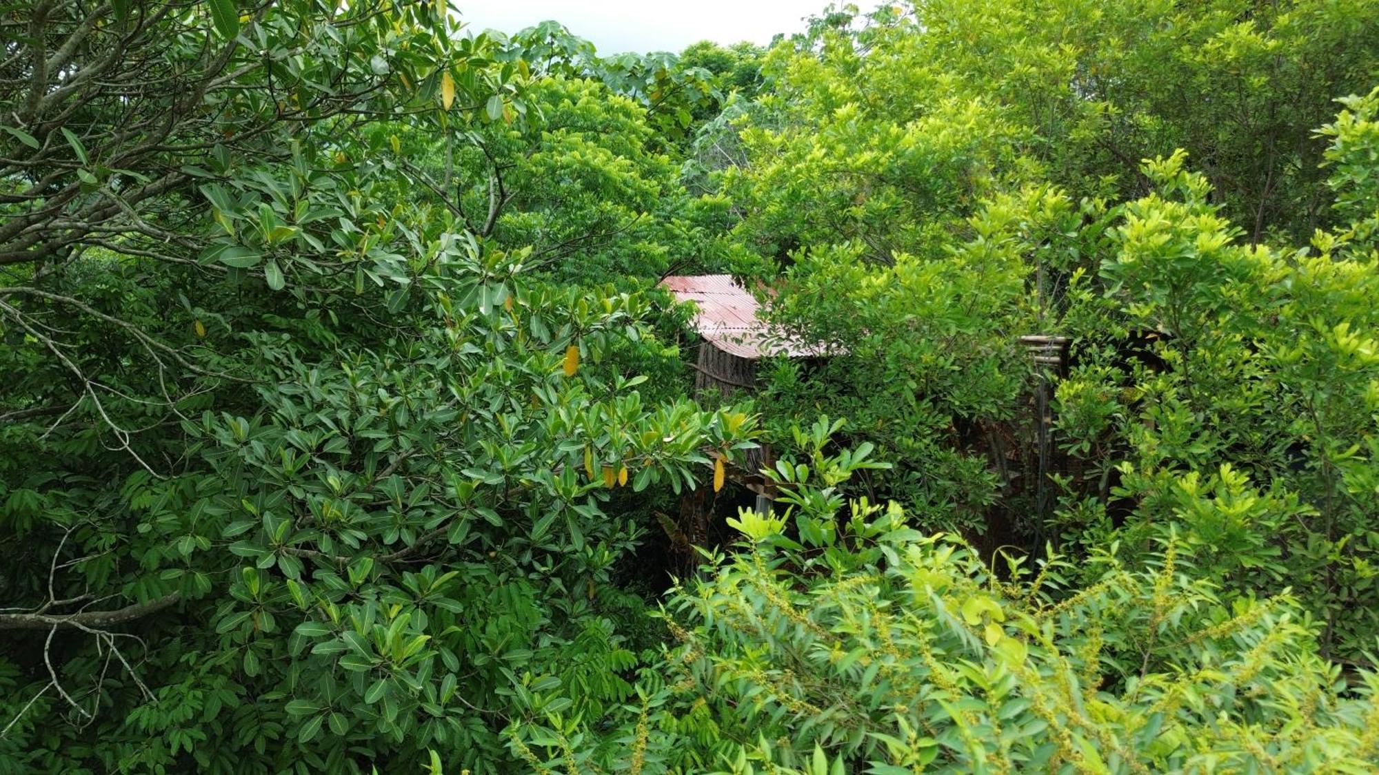 The Valley Tayrona Hostel- A Social Jungle Hostel El Zaino Exterior foto
