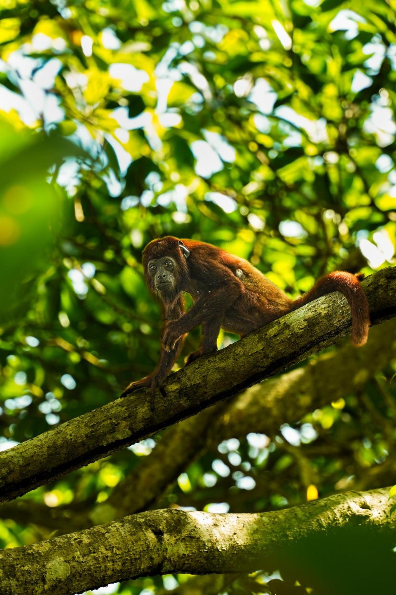 The Valley Tayrona Hostel- A Social Jungle Hostel El Zaino Exterior foto